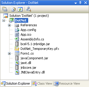 Project in Solution Explorer